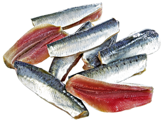 Sardinenfilet frisch - 1,00 kg