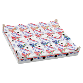 Bauer Fruchtjoghurt 3,5 % E/HI/HEI/K 20 Becher à 100 g - 2 kg Mischkarton