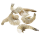 aro White Tiger Garnelen mit Glasur 91/111 tiefgefroren - 800 g Beutel