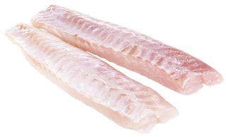 Rotbarschlions frisch - 1,00 kg