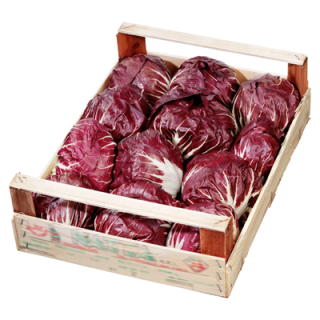 Radicchio Italien - 3 kg Kiste