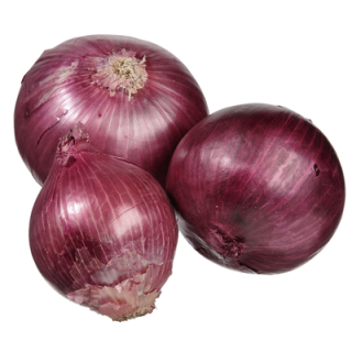 Zwiebeln rot 10kg