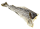 Stockfisch frisch - 1,00 kg