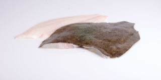 Steinbuttfilet frisch - 1 kg