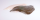 Steinbuttfilet frisch - 1 kg