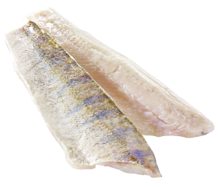 SCC Zanderfilet aufgetaut - 1,00 kg