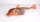 Knurrhahn Rot frisch - 1 kg