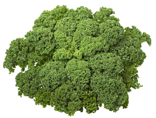 METRO Chef Grünkohl erntefrisch, tiefgefroren - 4 x 2,50 kg Beutel