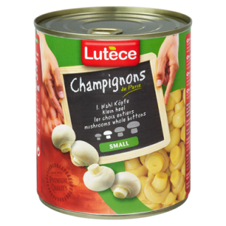 Lutèce Champignons 1. Wahl, kleine Köpfe 850...