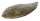 Seezunge frisch - 1 kg