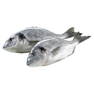 Dorade Royal ausgenommen mit Kopf frisch - 1,00 kg