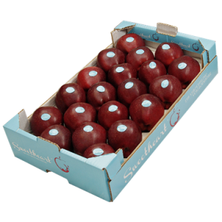 Äpfel Red Delicious Deutschland - 4 kg Kiste