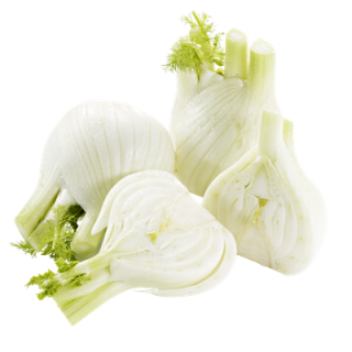 Fenchel Deutschland - 500 g Schachtel