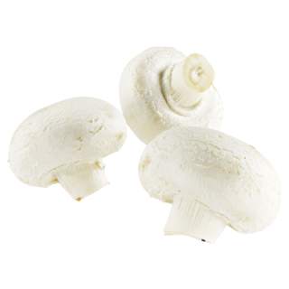 Champignon Weiß Extra Fein Niederlande - 1 kg Schachtel