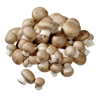 Champignon braun Niederlande - 1 kg Schachtel