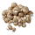Champignon braun Niederlande - 1 kg Schachtel