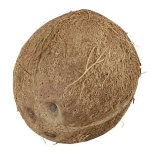 Kokosnuss - CoteD`Ivoire - 480 g Stück