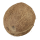 Kokosnuss - CoteD`Ivoire - 480 g Stück
