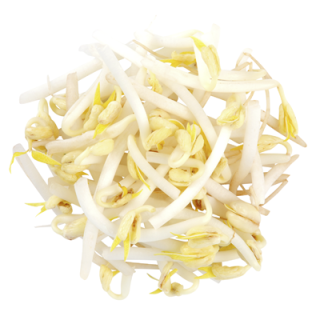 METRO Chef Mungobohnensprossen, küchenfertig - 500 g Schal
