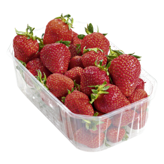 Regional Erdbeeren Deutschland - 500 g Kiste