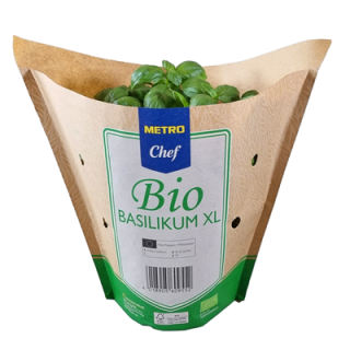 METRO Chef Bio Basilikum XL 15 cm Tof Deutschland - 500 g...