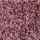 Smits Zwiebelwürfel, Rot 5 x 5 mm - 500 g Beutel