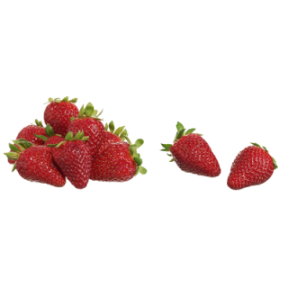 Erdbeeren Deutschland/Niederlande - 500 g Schachtel