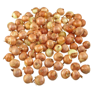 METRO Chef Gemüsezwiebeln Spanien - 10 kg Sack