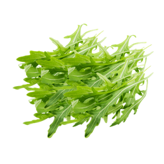 Rucola ungebündelt 1 kg Kiste