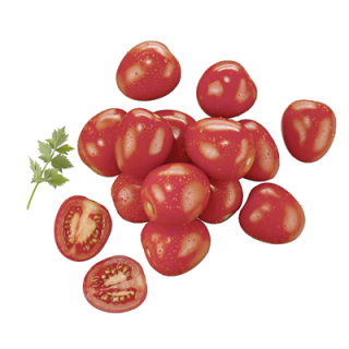 Roma Tomaten Niederlande - 500 g Becher