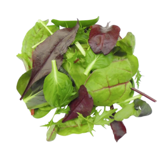METRO Chef Bio Wildkräutersalat Italien - 300 g Beutel