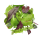 METRO Chef Bio Wildkräutersalat Italien - 300 g Beutel