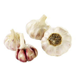 Knoblauch Rosa Spanien - 250 g Netz