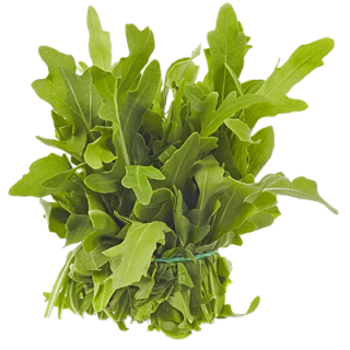 Rucola gebündelt Italien - 150 g Schachtel