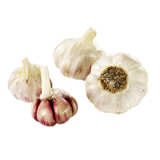 Knoblauch Rosa Spanien - 1 kg Netz