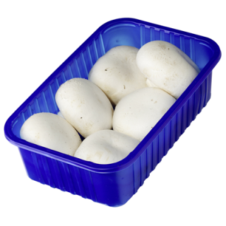 Champignons Weiß Polen - 750 g Schale