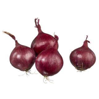METRO Chef Zwiebeln Rot Niederlande - 1,5 kg Netz